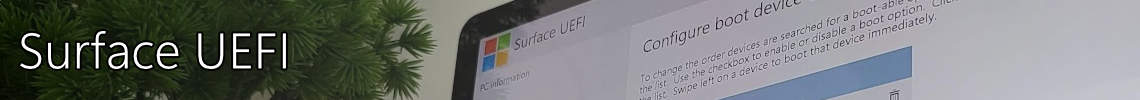 Surface UEFI Section Photo