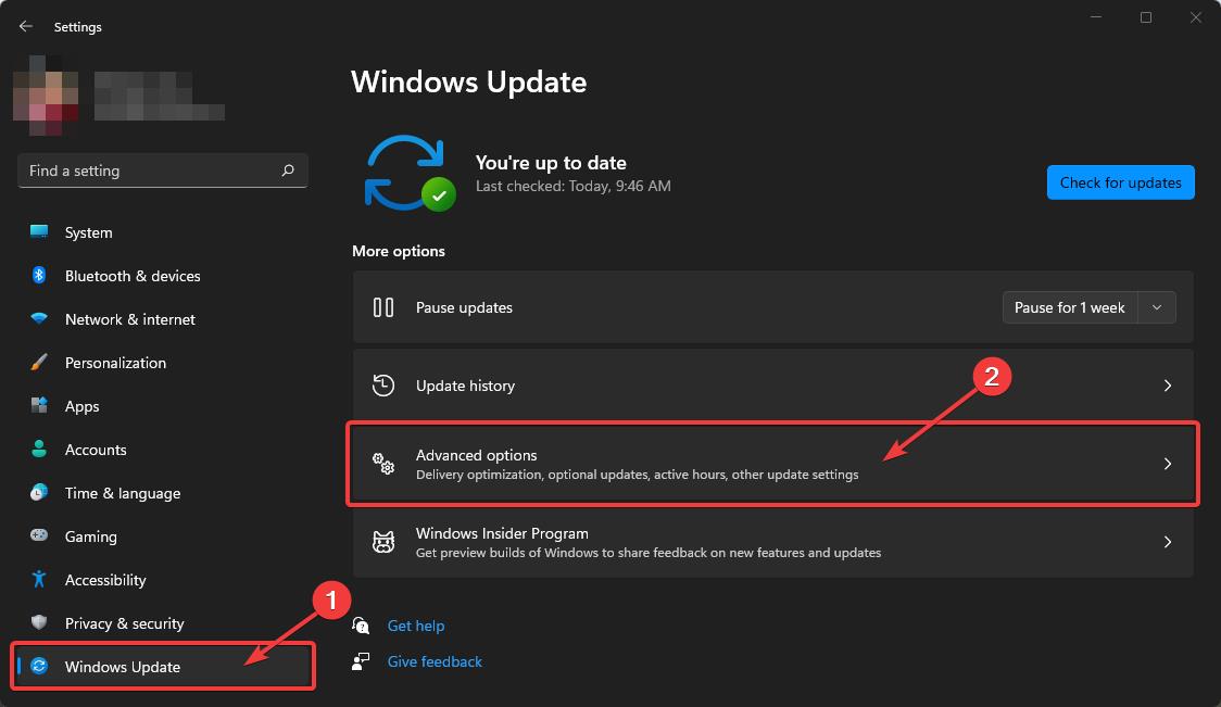 Windows 11: Settings > Windows Update > Advanced options